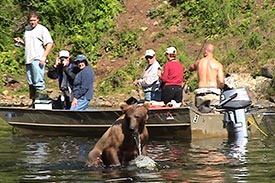 Boaters viewing bear in water