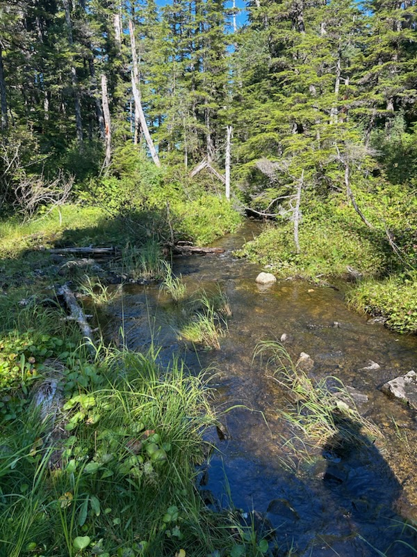 Nomination Details Anadromous Waters Catalog Sport Fish