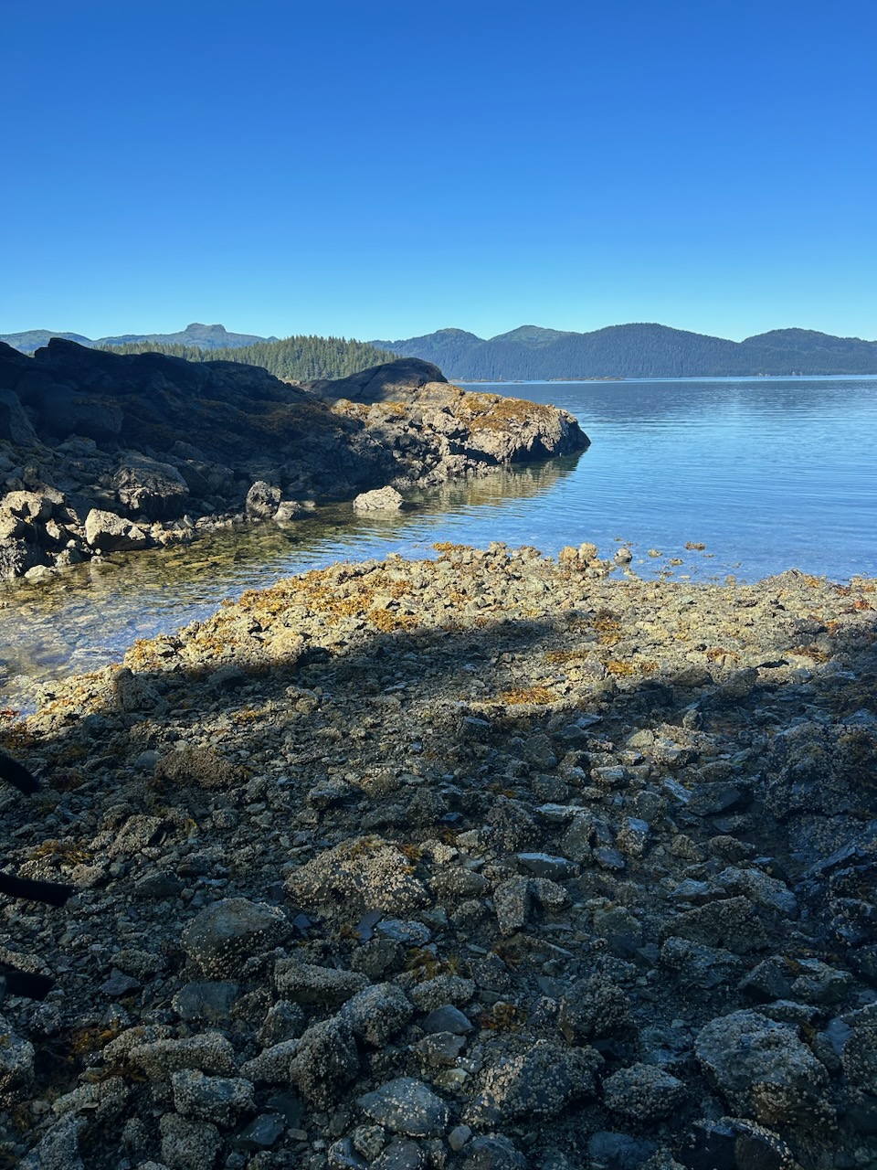 Nomination Details Anadromous Waters Catalog Sport Fish