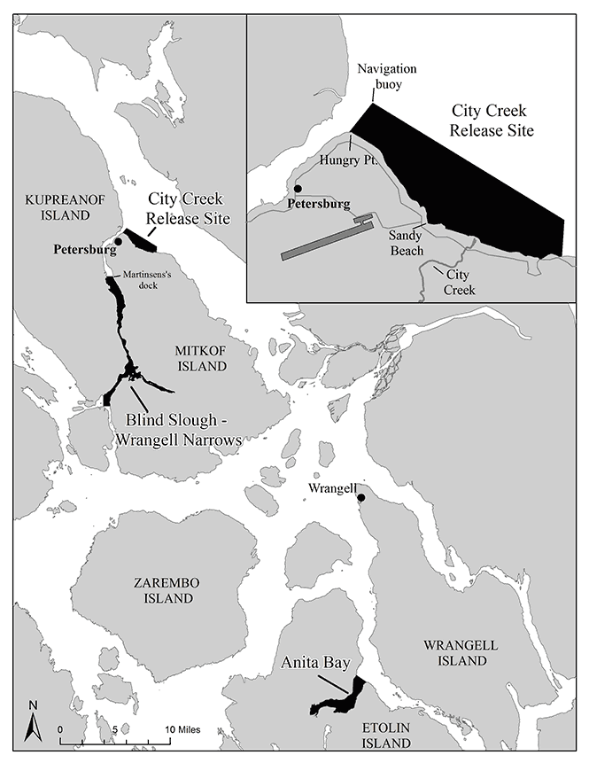 Sport Fishing For King Salmon Opens In Hatchery Areas Near Petersburg And Wrangell