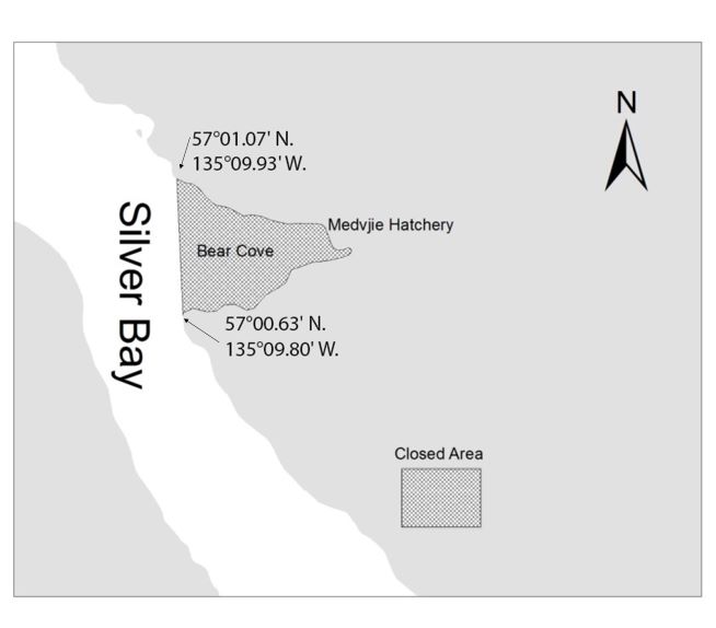 Sport Fishing for Coho Salmon Closed in Bear Cove