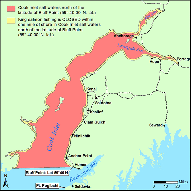 King Salmon Restrictions in the Cook Inlet Salt Waters