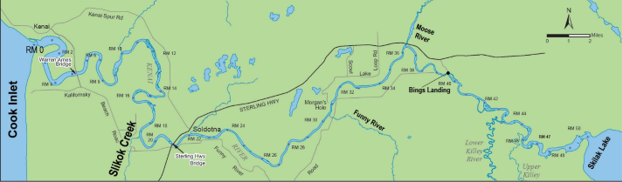 Kenai River Late-Run King Salmon Sport Fishery is Closed