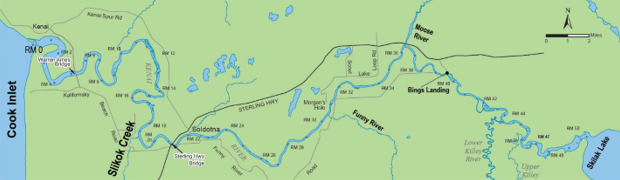 Kenai River Early-Run King Salmon Sport Fishery is Closed