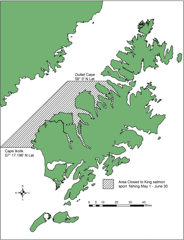 Westside Kodiak Salt Waters Closed to King Salmon Fishing