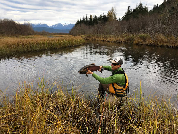 catching coho salmon