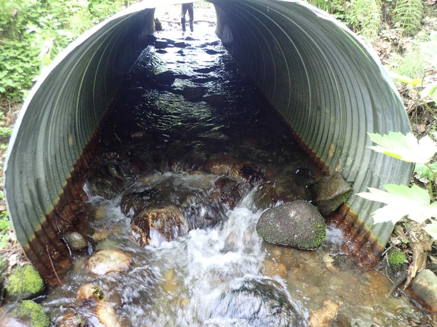 Fish Passage Improvement site 20401347