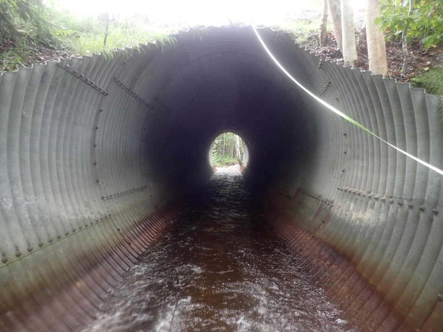 Fish Passage Improvement site 20501417