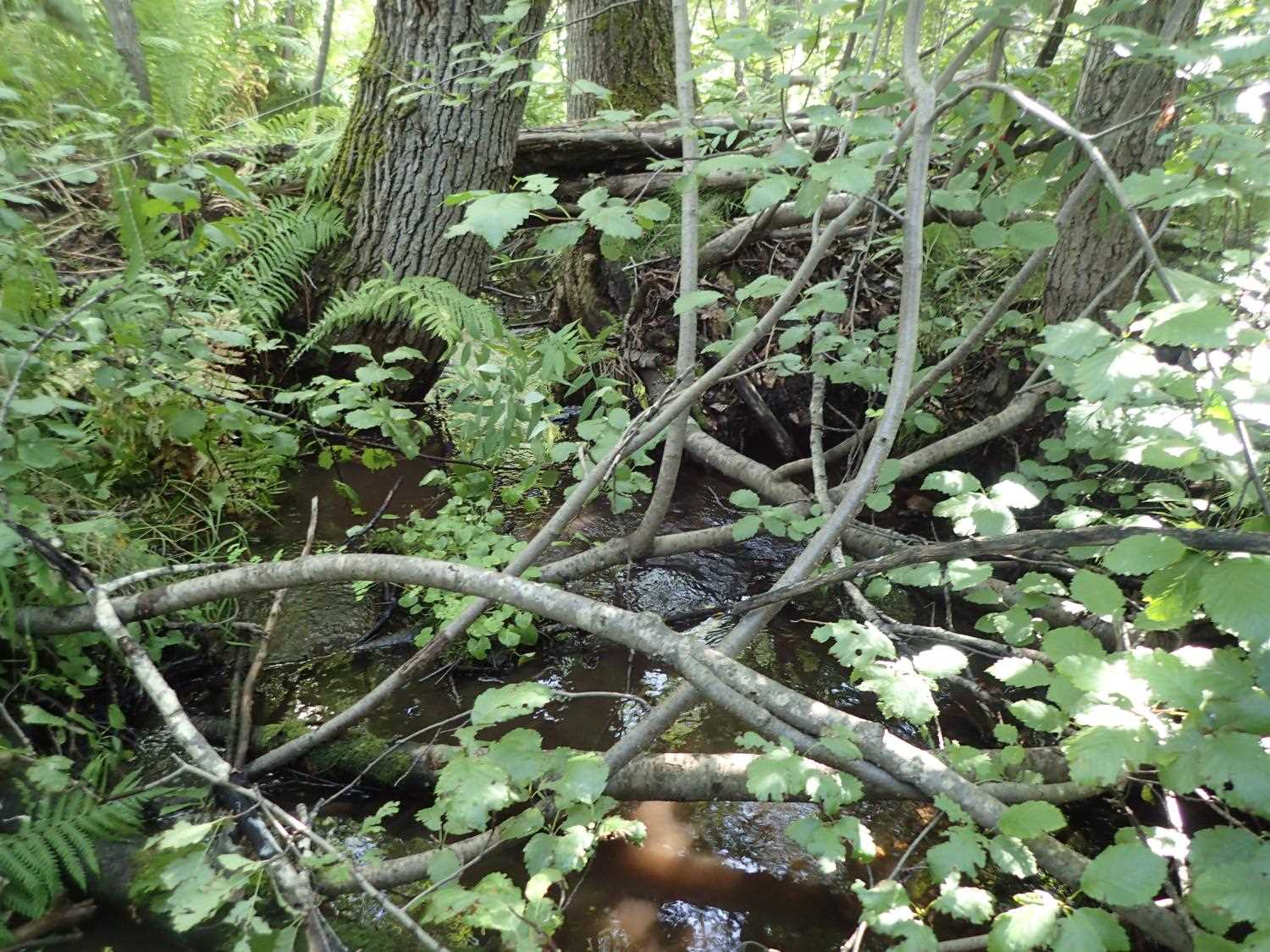 Fish Passage Improvement site 20401339