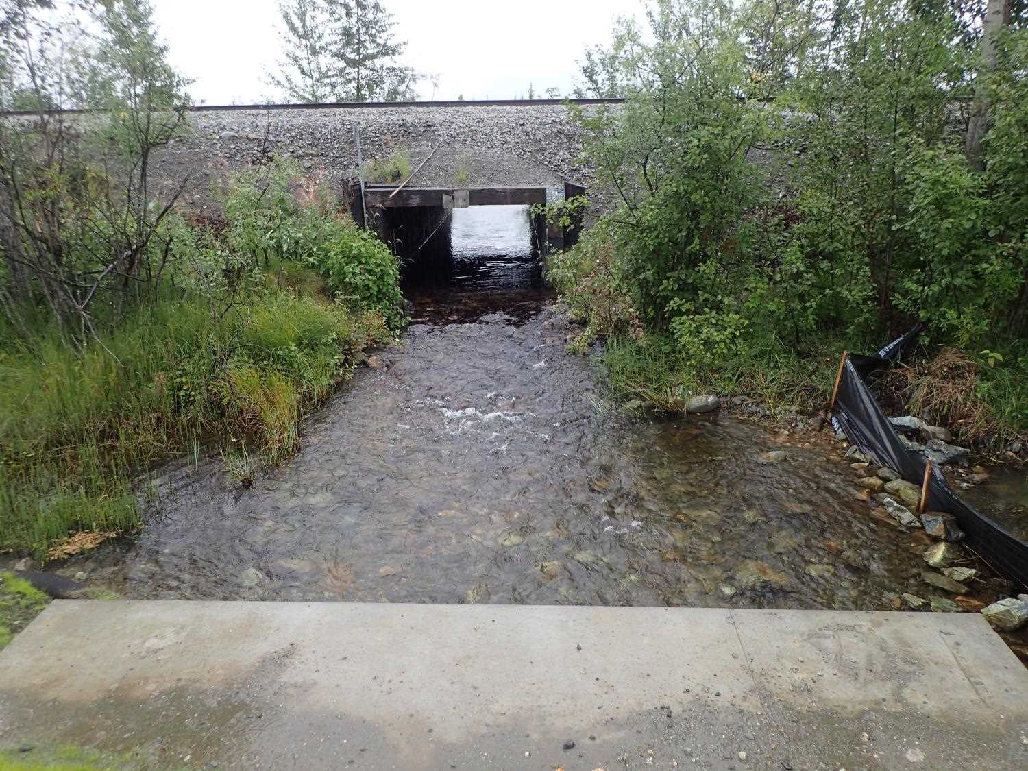 Fish Passage Improvement site 20401315
