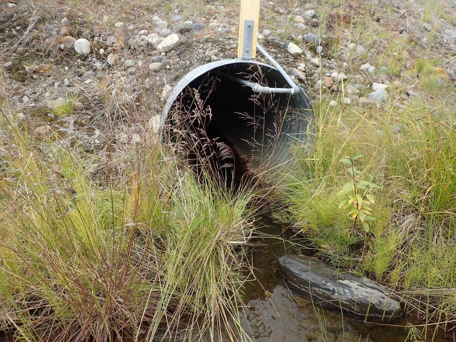 Fish Passage Improvement site 20503999