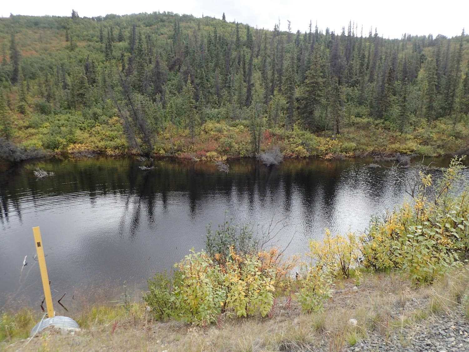 Fish Passage Improvement site 20503999