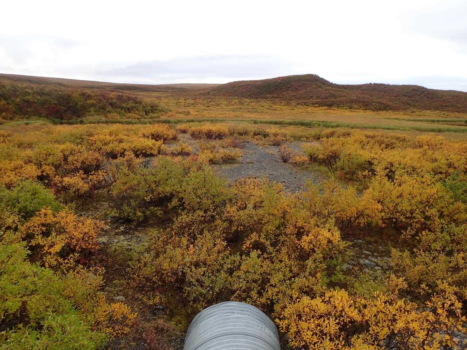 Fish Passage Improvement site 20500287