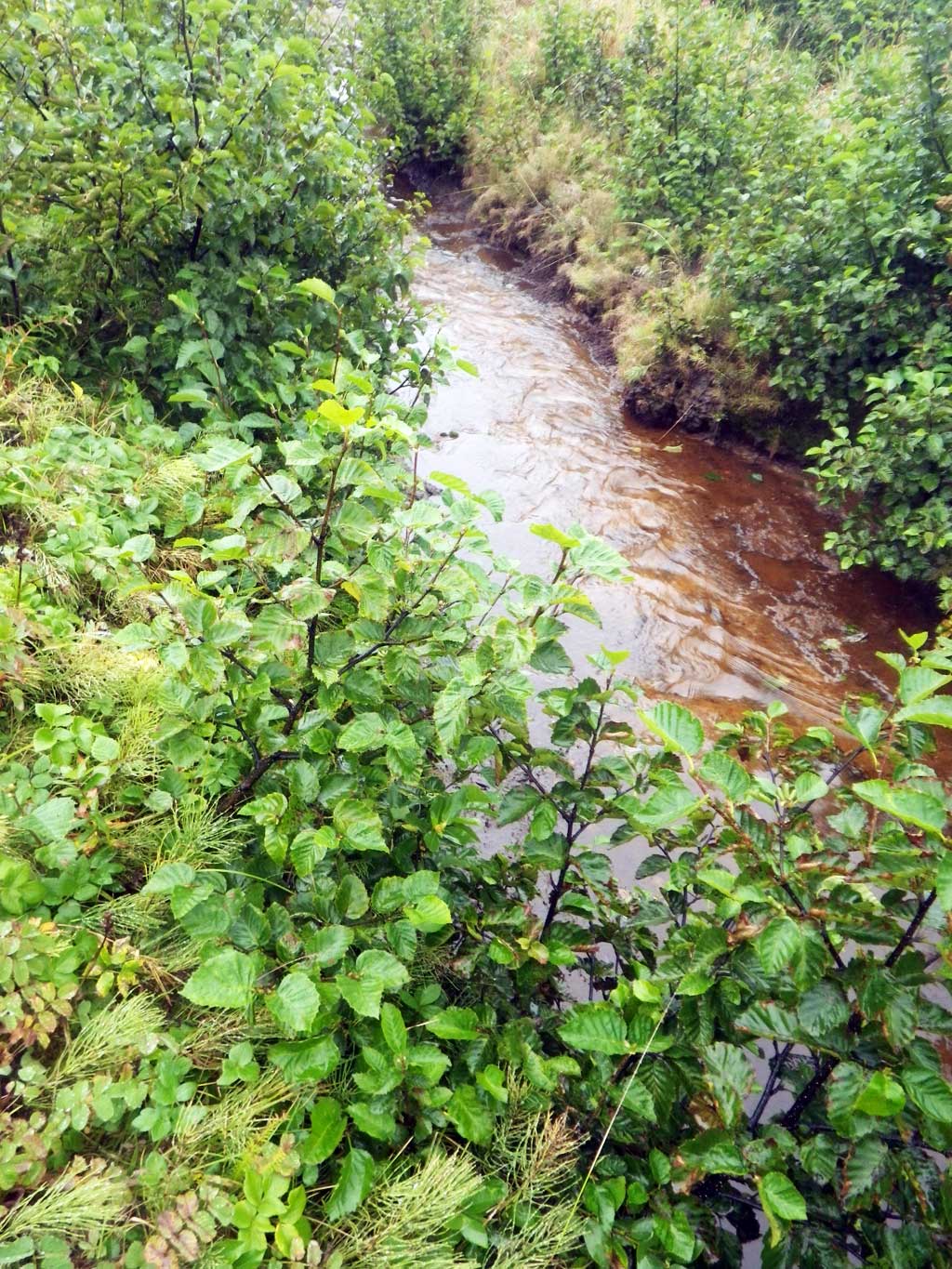 Fish Passage Improvement site 30103441
