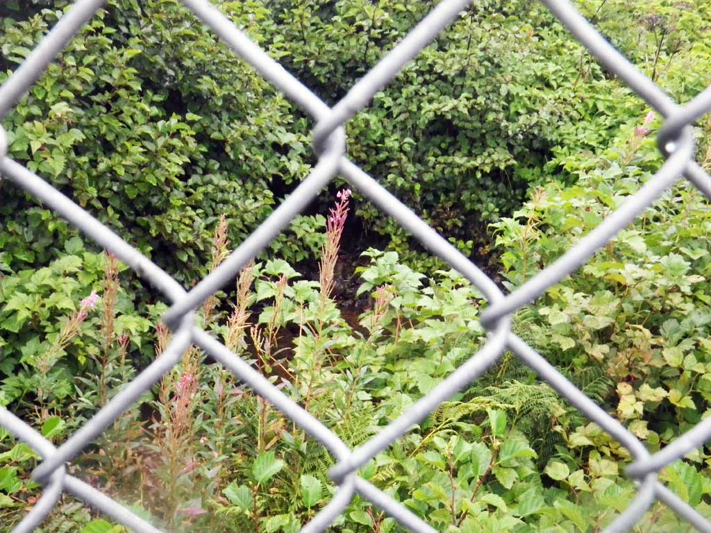 Fish Passage Improvement site 30103443