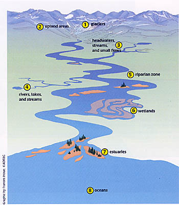 graphic of watershed regions