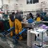 A group of Fish and Game employees work diligently to meet the deadline to clip adipose fins and insert coded wire tags into Chinook salmon. These salmon are coded for specific release locations.