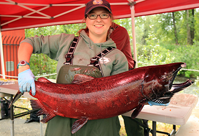 Hatchery Kings, Orphaned Bears, Alaska Department of Fish and Game