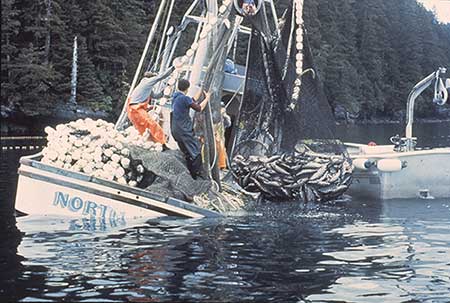 Fatality-free Year for Alaska Commercial Fishing, Alaska