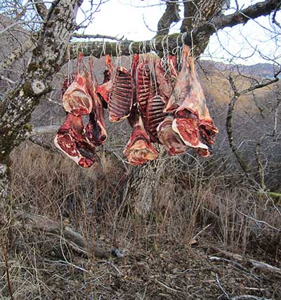 Parasite Reminds Hunters, Alaska Department of Fish and Game