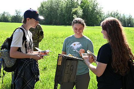A Tree Swallow nest box check Photo by Heather McFarland