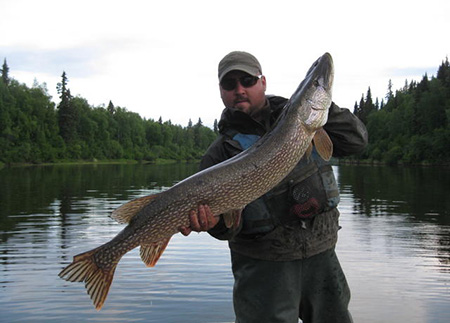 Problems with Pike, Alaska Department of Fish and Game