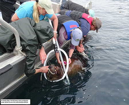 Can't believe they're declining world-class marine biologist