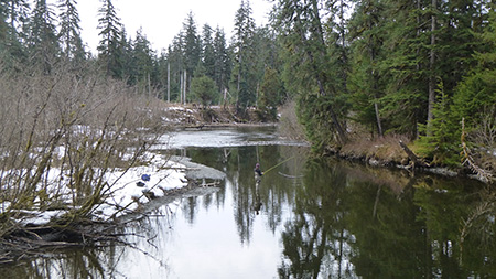 The Spin Cycle: A Day Of Situk Steelhead Spinner Fishing