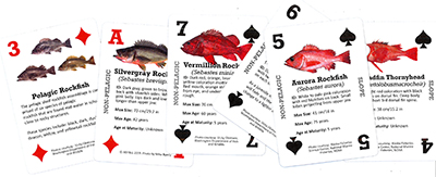 Rockfish Cards Aid Outreach, Alaska Department of Fish and Game