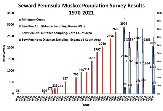 Keeping Nelson Island Muskox Population on Target, Alaska