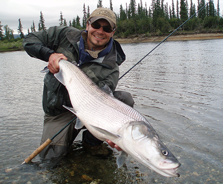 Life History of Kuskokwim River Sheefish, Alaska Department of