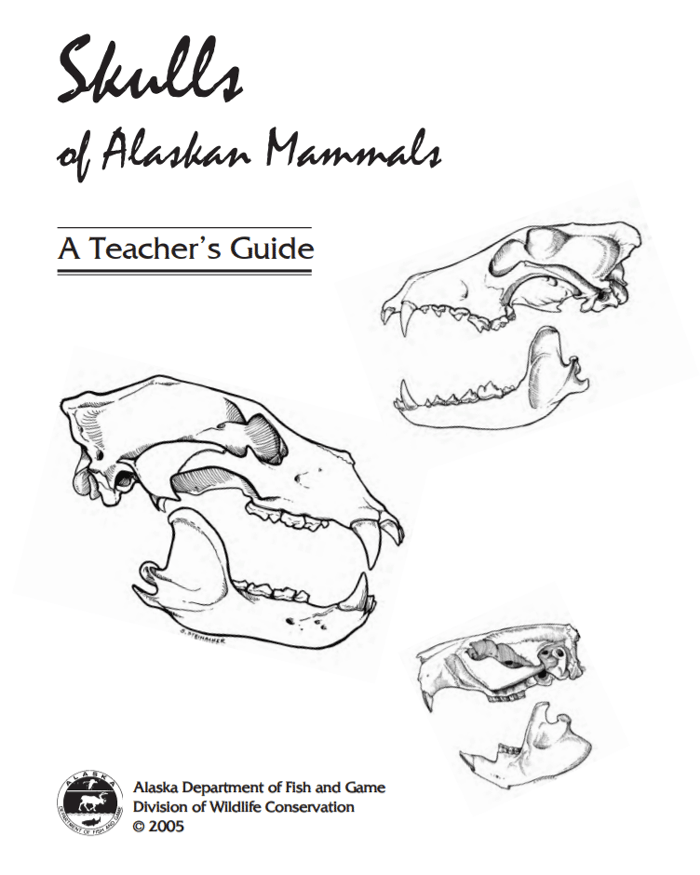 Skulls of Alaskan Mammals