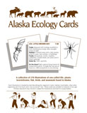 AWC Ecology Cards Cover