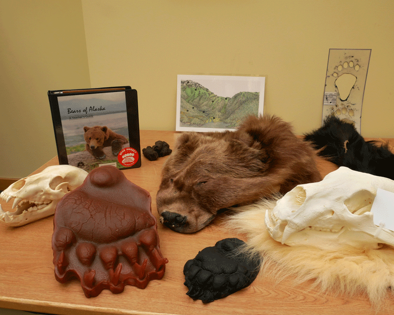 Bear Kit