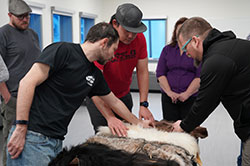 Teacher workshop - Alaska Department of Fish and Game (ADFG)