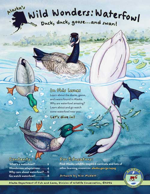Waterfowl - Alaska's Wild Wonders (2026)