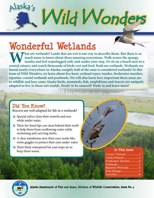 Wetlands! - Alaska's Wild Wonders (Issue 3)