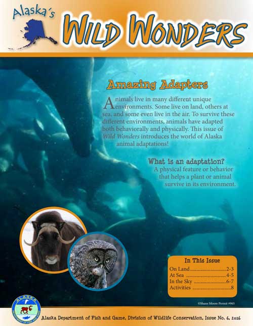 Amazing Adapters - Alaska's Wild Wonders (Issue 6), Alaska Department of  Fish and Game