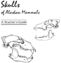 Skull cover