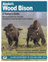 Wood Bison Teacher's Guide