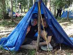 Shelter building