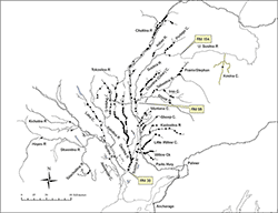 Spawning locations of radio-tagged Chinook salmon in the Susitna River upstream of the confluence with the   Yentna River (river mile 30), 2012.