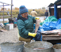 Processing Fish