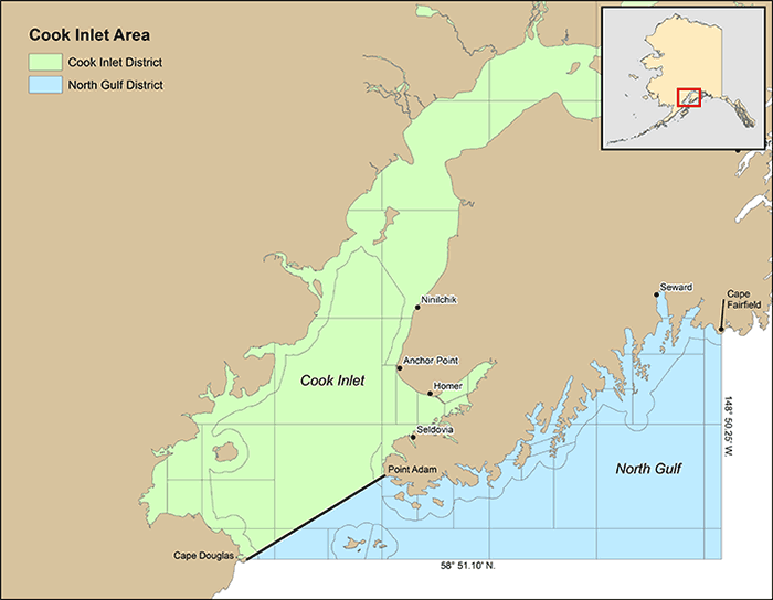 Cook Inlet Districts map