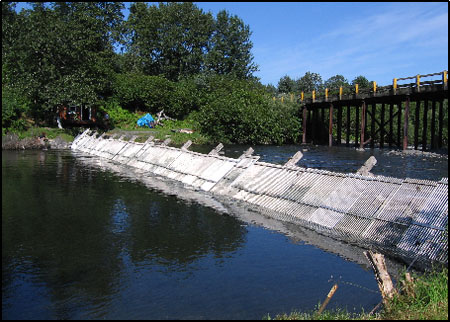 Buskin Weir