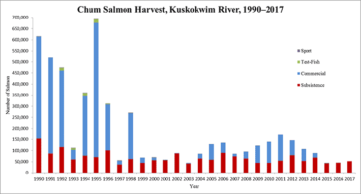 Chum Salmon Harvest Graph