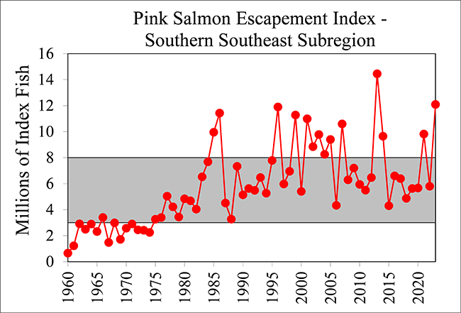 Pink salmon catches remain below average - KFSK