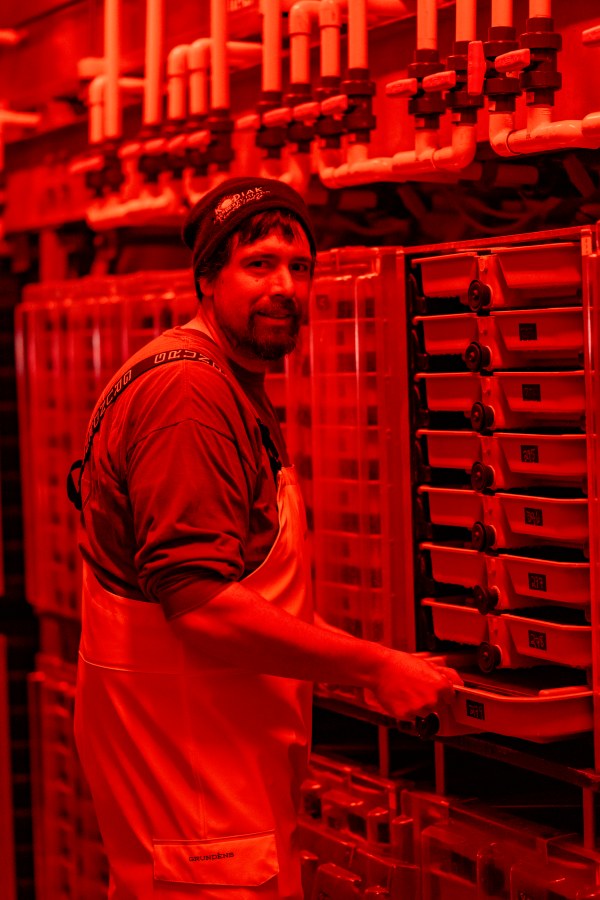 Staff in the incubation room