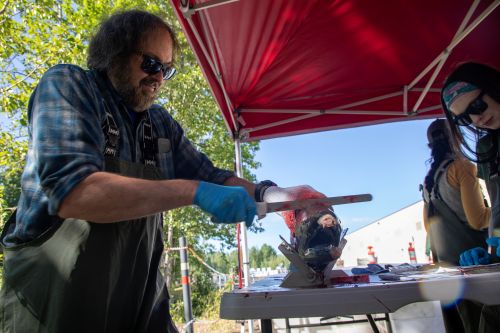 Staff taking otolith samples