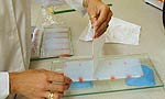 A lab worker cuts the gel into thin slices